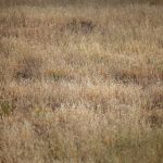 王源推荐:看片神器让你畅享影视盛宴 3lm14qej