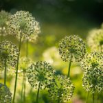 玩偶游戏国语在线观看:畅享精彩剧情与角色互动的全新体验 6j105vh23