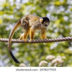 王雨纯尤妮丝姐妹花写真:展现青春活力与无尽魅力的绝美瞬间 d4kff