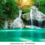 王李丹妮高考成绩最新消息:她的成绩究竟如何? ly6j9mxy