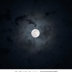 猫猫云盘:轻松存储与分享你的宠物照片和视频 ppuikegdh