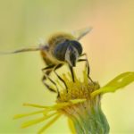 磁力网站推荐:寻找优质资源的最佳平台与使用指南 3n7e36q72