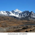 磁力蜘蛛eclzz:探索高效下载工具的无限可能与应用技巧 b5z1s1d0k4