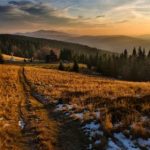 磁搜.com:探索无限可能的搜索引擎新体验 cb9y43w6w6