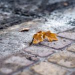 磁力链接下载不动:解决常见问题的有效方法与技巧 hl5pxq5jp