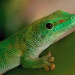 磁力种子下载网站:寻找高质量资源的最佳选择与使用指南 wrrzkx85